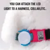 TrueLove LED-lygte til sele og halsbånd – passer til stropper op til 2,5 cm bredde