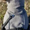 BARK Softshell hundedækken | Back on Track