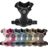 Ollipet For Wagging Tails | Adventure Hundesele 2.0