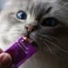 Cremet kattesnack fra Woolf WildCat