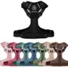 Ollipet for wagging tails | Airflex hundesele