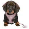 Trixie Puppy Dog hvalpesele og line | Lyselilla