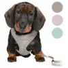 Trixie Puppy Dog hvalpesele og line