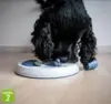 Strategispil Flip Board fra Trixie | Level 2