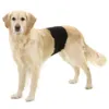 Gentleman Wraps | buks til hanhunde med velcroluk