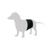 Gentleman Wraps | buks til hanhunde med velcroluk
