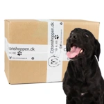 Pakketilbud | Large Breed Surprise Box