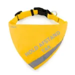 Ollipet Hold afstand tak | Bandana