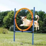 Trixie Agility Ring