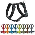 Hunter London Vario Rapid Hundesele