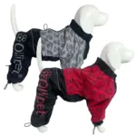 Ollipet lluvia Raincoat | OUTLET