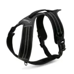 TrueLove Outdoor Hundesele | OUTLET