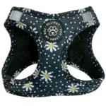 Ollipet City Lux Step-in sele | Margueritter