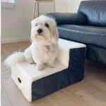 Ollipet Plystrappe