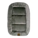Ollipet Kaya Wellness Madras