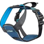 Crash Tested Hundesele