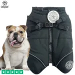 Ollipet Sirius Strong Body Dynejakke | M. Sele