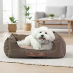 Ollipet Comfort Hundeseng | Mokka, OUTLET