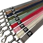 Ollipet Arctic Explorer | Refleks Dressurline
