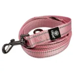 Ollipet Arctic Explorer | Refleks Dressurline