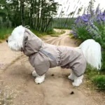 Ollipet Poncho Regndragt | Khaki