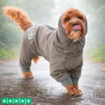 Ollipet Doodle rain coat