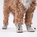 Ollipet For Wagging Tails, refleks hundestøvler