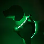 Hundesele med step-in funktion og lys