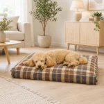 Ozami ternet Hundemadras | 70x50 cm.