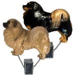 Nummerclips race: Tibetan Spaniel | OUTLET