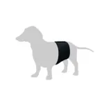 Gentleman Wraps | buks til hanhunde med velcroluk