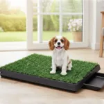 Ollipet luksus hundetoilet med bakke
